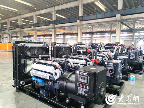 府東街點題，菏澤交出重點項目突破答案——生物質成型燃料銷售領航綠色發展